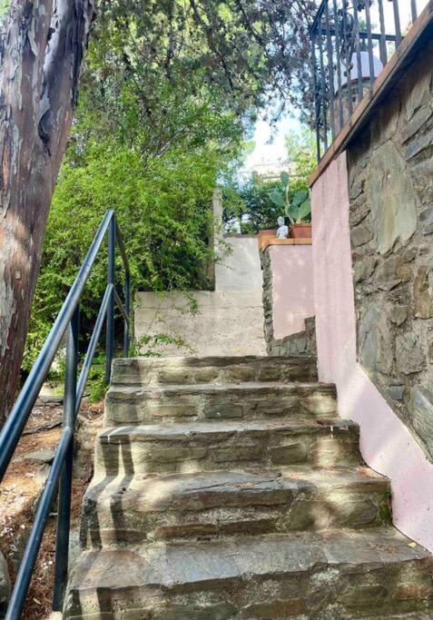 Charmante Maison En Plein Coeur De Collioure Vila Exterior foto